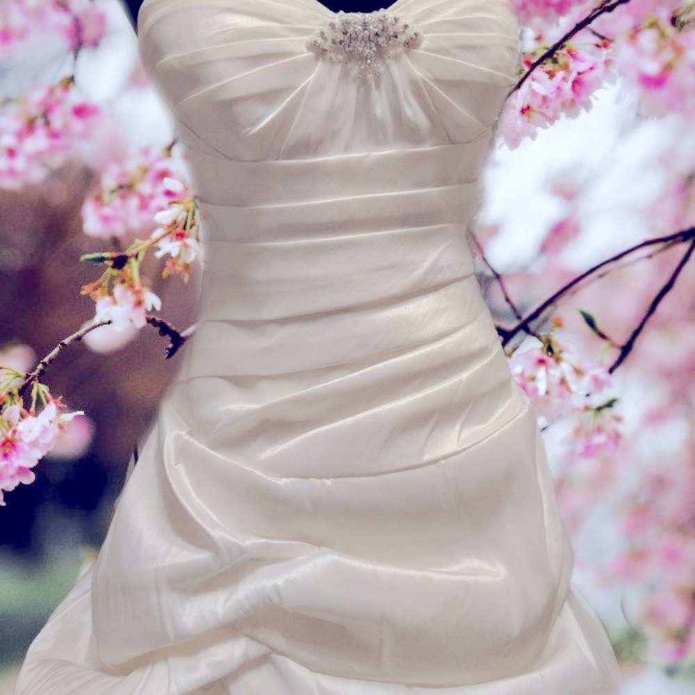 Venus & Bella Courtoure Wedding Bridal Gown Size12